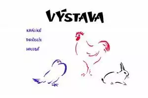 vystava