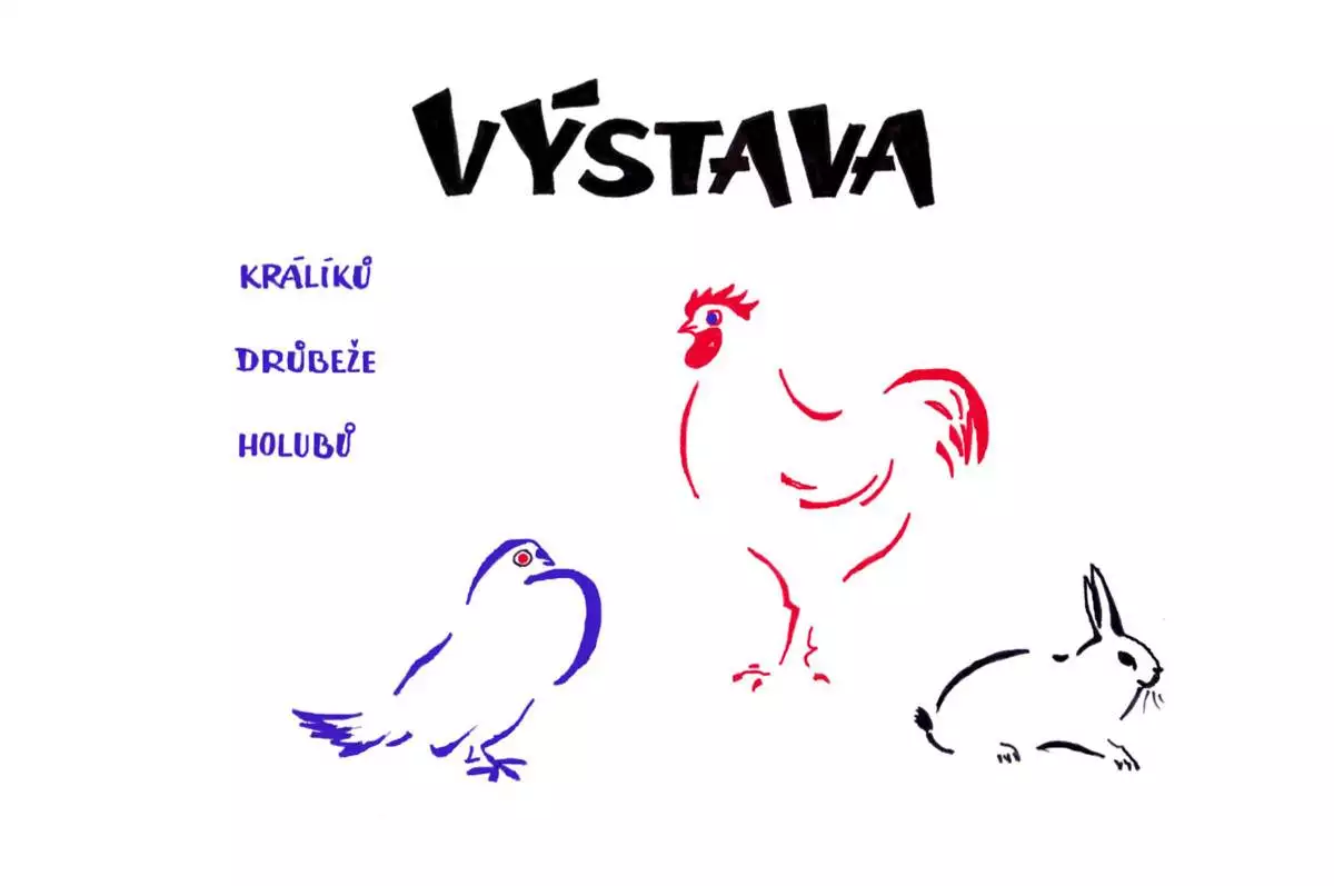 Výstava králíků, drůbeže a holubů