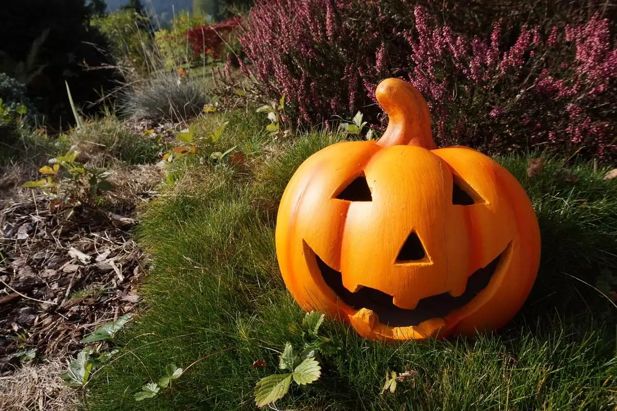 V sobotu 22.10. se opět vyřezávaly dýně!