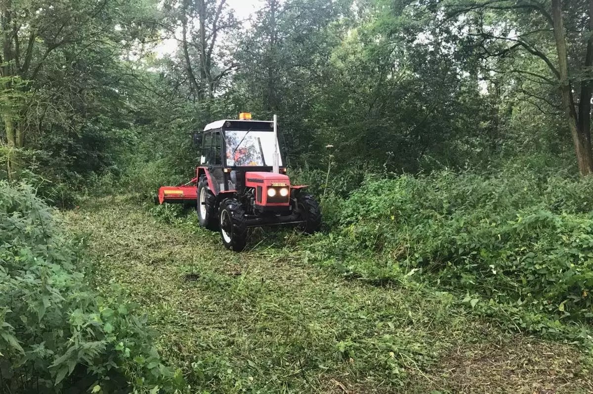 Pomůžete zvelebit kousek Hrabové?