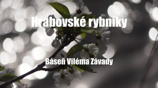 (VIDEO) Václav Fajfr: Zhudebněná báseň Viléma Závady