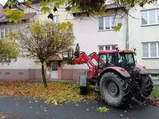 Magistrát objednal ošetření stromů napadených jmelím v Hrabové a Jihu