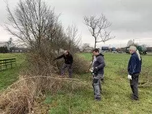 (FOTO) Brigáda v areálu TJ Sokol Hrabová