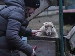 (FOTO) Své brány letos poprvé otevřela Farma Duběnka v Ostravě-Hrabové