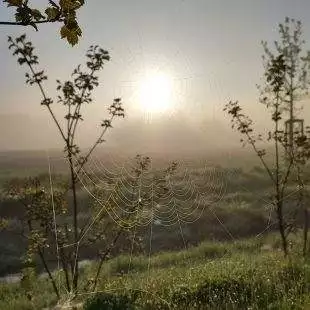 (FOTO) Obrazem: Hrabová v druhé polovině dubna