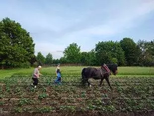 (VIDEO) Hrabová je vesnice mezi Ostravou a Paskovem