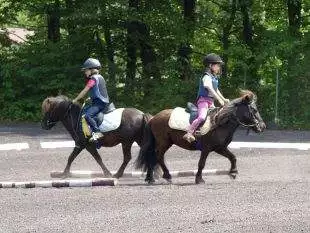 Hrabová: Slezský drezurní pohár – 3.6. 2023