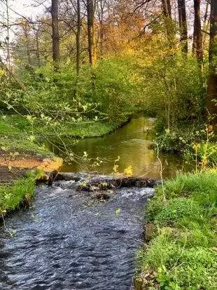 (FOTO) Květoslava Nyklová: Jarní barvy potoku Ščučí