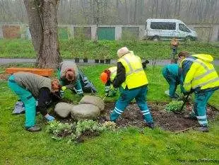 Zelená Hrabová byla zmíněna v regionálním zpravodajství